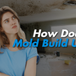 How Does Mold Build Up?