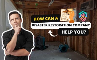 How Can a Disaster Restoration Company Help You?