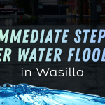 Immediate Steps After Water Flooding in Wasilla