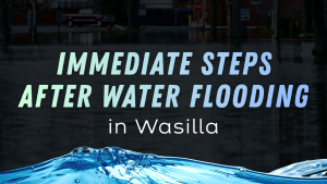 Immediate Steps After Water Flooding in Wasilla