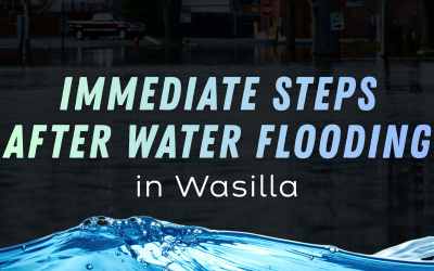 Immediate Steps After Water Flooding in Wasilla