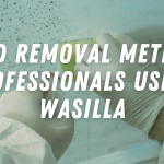 Mold Removal Methods Professionals Use in Wasilla