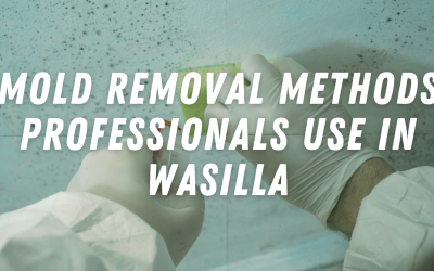 Mold Removal Methods Professionals Use in Wasilla